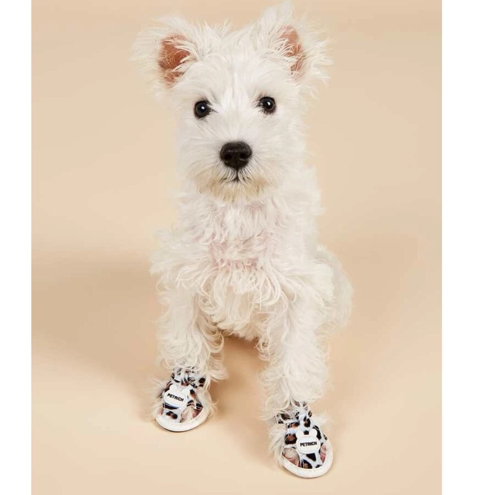 4pc Leopard Print Pet Shoes 🐩
